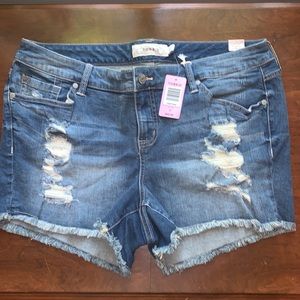 Torrid shorts